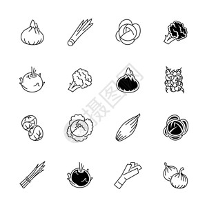葱头蔬菜图标蔬菜矢量图大纲样式的蔬菜和调味料素食品标志蔬菜和香料的插画