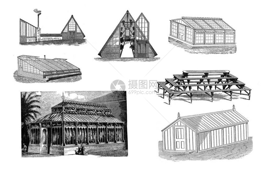 公共区域业余爱好者的温室和温室1875年植物房的建设和管理图片