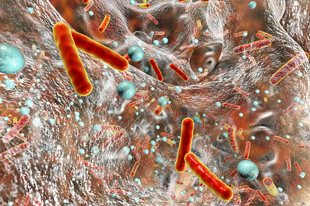 生物膜生物胶卷中的抗生素抗药细菌3D插图设计图片