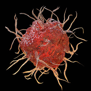 Dendritic细胞以黑色背景隔离的抗原呈现免疫细胞背景图片