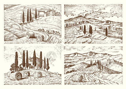 雕刻手绘旧素描和复古风格的意大利托斯卡纳领域背景和柏树收割和干草堆葡萄园和村庄或乡村房背景图片