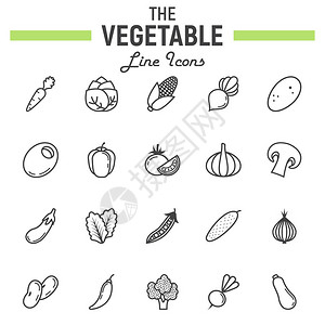 蔬菜线图标集图片