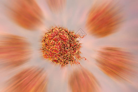 前列腺癌细胞3D插图前列腺图片