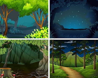 夜间森林四景图背景图片