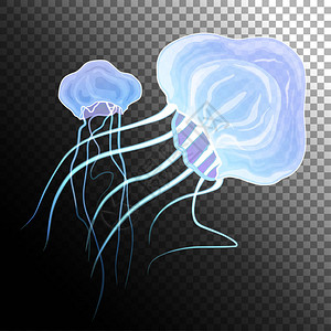 神奇的发光水母下海底世界灵感的童话插图片