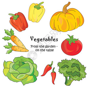 彩色矢量插图蔬菜平面图标图片