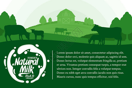一盘新鲜的牛毛肚配奶水的矢量牛奶插图有奶牛小牛和农设计图片