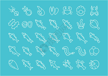 鲟鱼子酱提取物收集海产食品的直线白色图标插画
