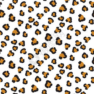 猎豹无缝矢量模式野猫典图片