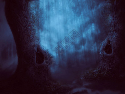 夜间幽灵般的神秘迷雾森林场景图片