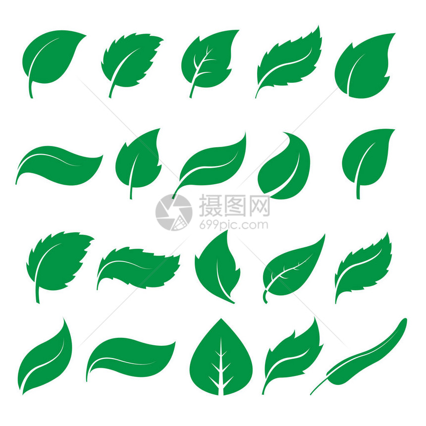 白色背景上的绿叶图标集叶子图图片