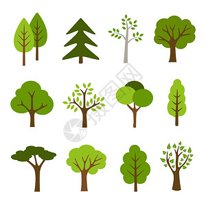 树木插图的集合可用于说明任何自然或健康的图片
