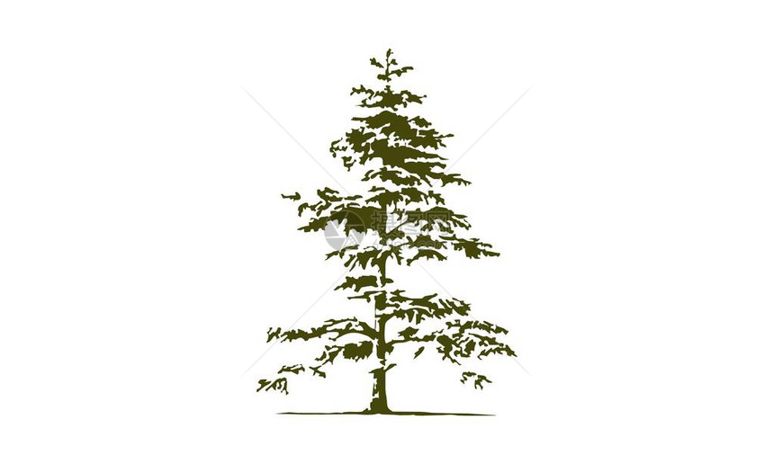 Cedar树木Log图片