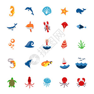 海洋或海洋标志与动物和鱼贝类和贝壳海洋图标用于应用图片