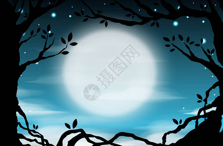 夜空背景满月树木云和星月背景图片