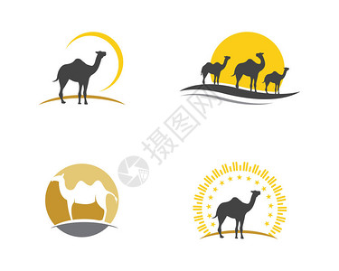 骆驼图标矢量插图设计L图片