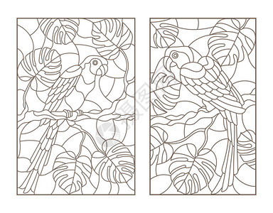 设置鸟鹦鹉和热带植物叶白色背景的深色轮廓等高图示Birdpa图片
