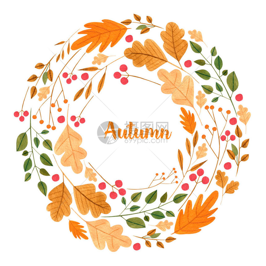浅水颜色简单的秋叶和树枝花环画在白色图片