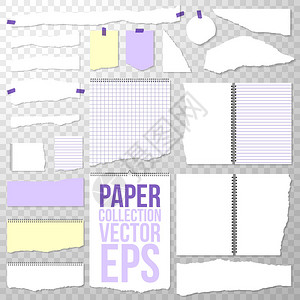 从螺旋装订笔记本上撕下的纸片在透明背景上隔离的干净或空白页面撕下活页夹白色方格纸和横格纸背景图片