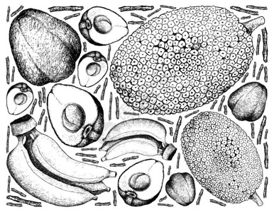 查哈u水果插图手绘画新波美拉克杰克菲鲁特和香蕉等白插画