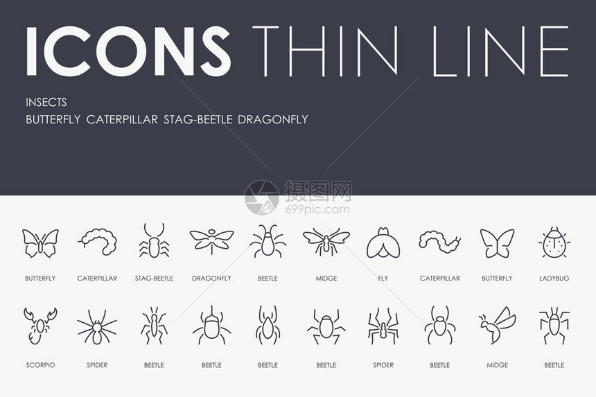 一套INSECTSThin线矢量图片