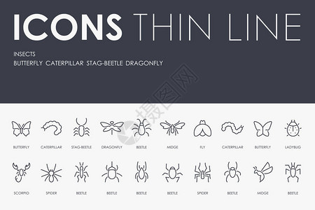 一套INSECTSThin线矢量图片