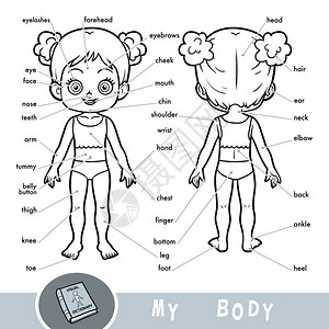 给孩子们看卡通视觉字典关于人的身体我的身体部图片