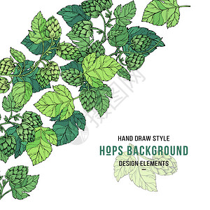 Hops边境设计卡啤酒成分矢量说图片