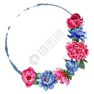 水彩风格的野花红色和蓝色牡丹花环图片