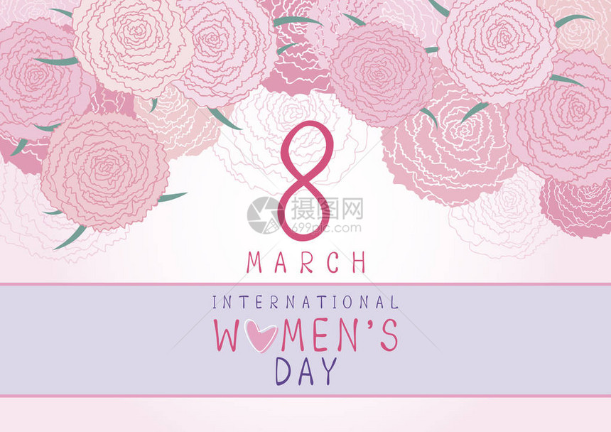 3月8日国际妇女日粉红康乃馨背景花卉图片
