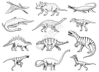 恐龙集图片