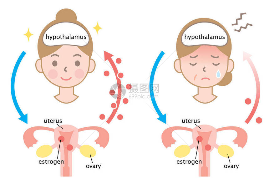 更年期和年轻女保健妇图片