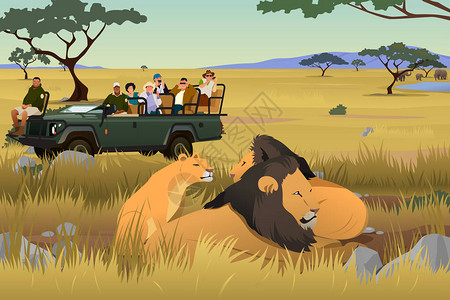 非洲野生动物园之旅中游客的矢量图解图片