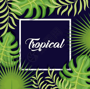 热带树叶横幅矢量图示形设计风潮插画