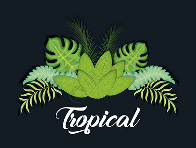 热带树叶横幅矢量图示形设计风潮图片