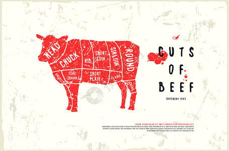 手工制作图形样式中的牛排肉切口图表带有粗略的说明白背景背景图片