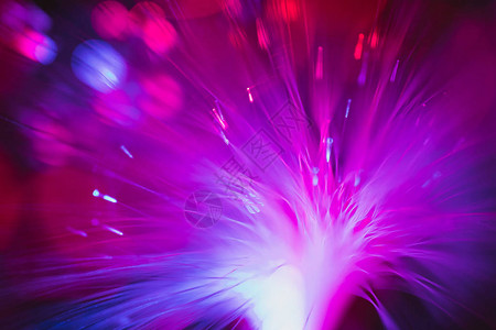 紫色光纤线图片