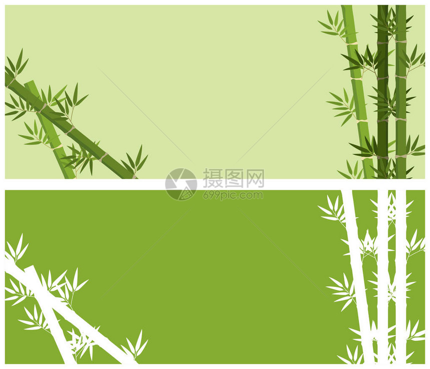 背景设计与竹树插图图片