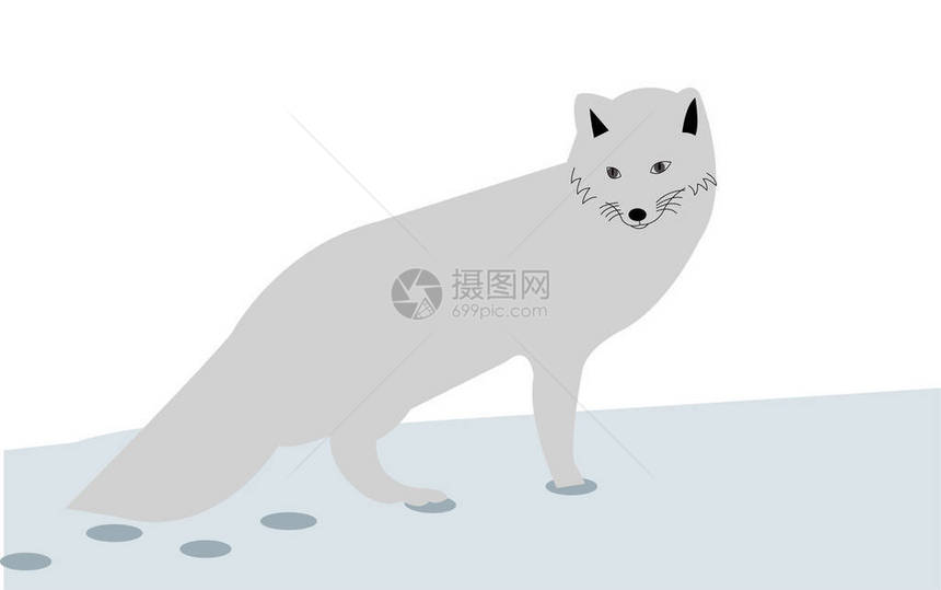 雪中的北极狐卡通插图图片