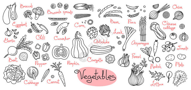为设计菜单食谱和包装产品设置蔬菜图纸图片