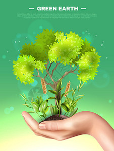 绿色模糊背景与树木植物在现实女手上的生态图片