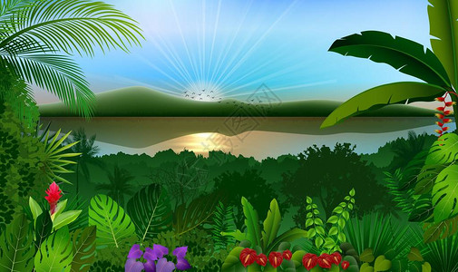 热带丛林景观与河流和山脉的矢量插图图片