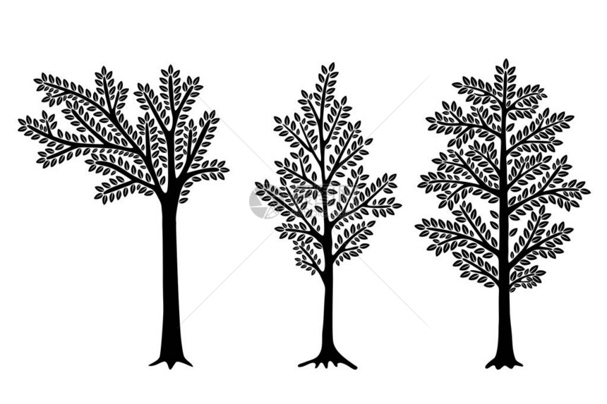 白色背景上隔离的一套Stylized抽象树集矢量插图可图片