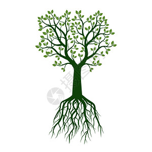 有叶子和根的绿树矢量图和形背景图片