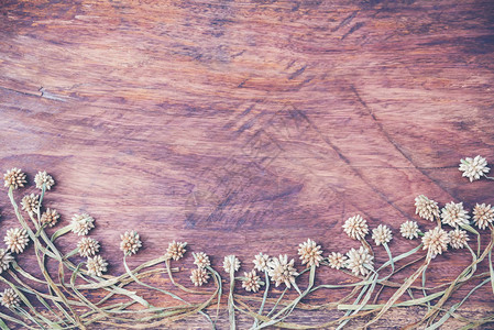 木头和干花的抽象复古纹理背景图片