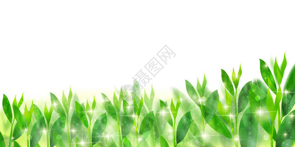 绿茶色春天背景背景图片