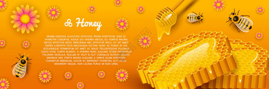 蜂蜜或天然农产品养蜂或花园健康有机糖果医学插图农业蜜蜂煮熟的蜂窝中的食物文本的背景网站背景图片