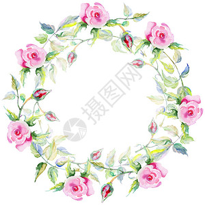 水彩风格的野花玫瑰花环图片