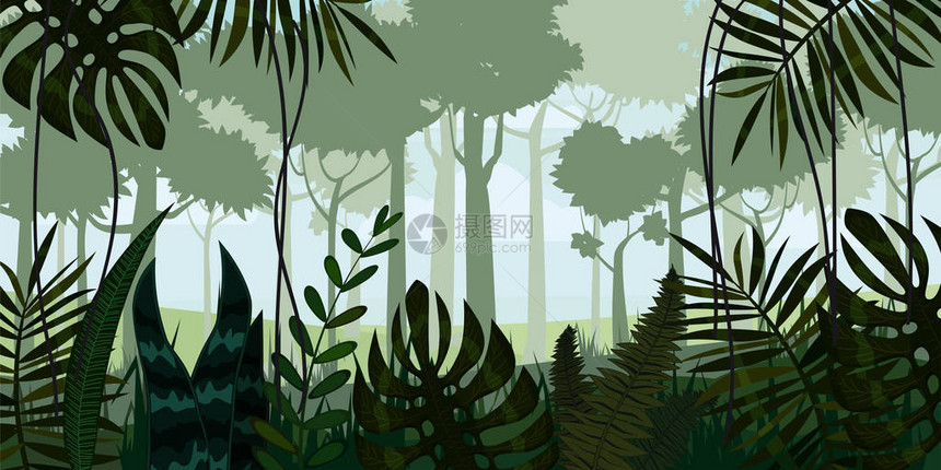 病媒热带雨林丛景观背景树叶图片
