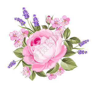 春花束彩色花蕾园玫瑰和熏衣草花的标背景图片